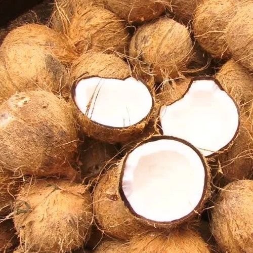 Semi Husked Coconuts