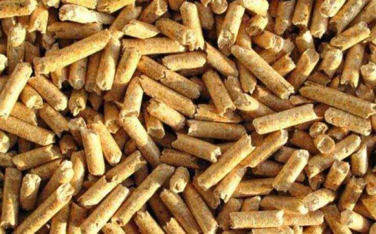 Renewable Source Biomass Pellet
