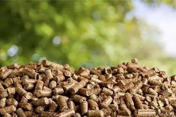 Sustainable Biomass Biofuel Pellet