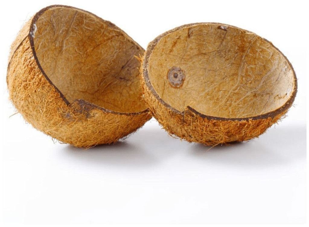 Half Cut Coconut Shell