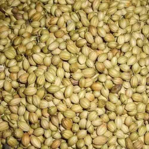A Grade Dried Coriander Seed