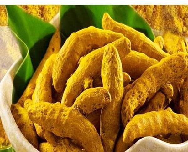 A Grade Nizam Turmeric Finger