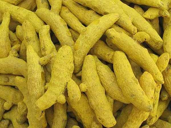 A Grade Rajapuri Turmeric Finger