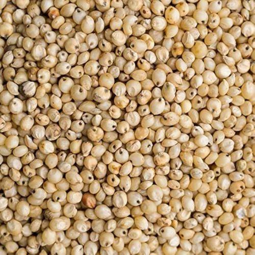 Organic Sorghum Millet