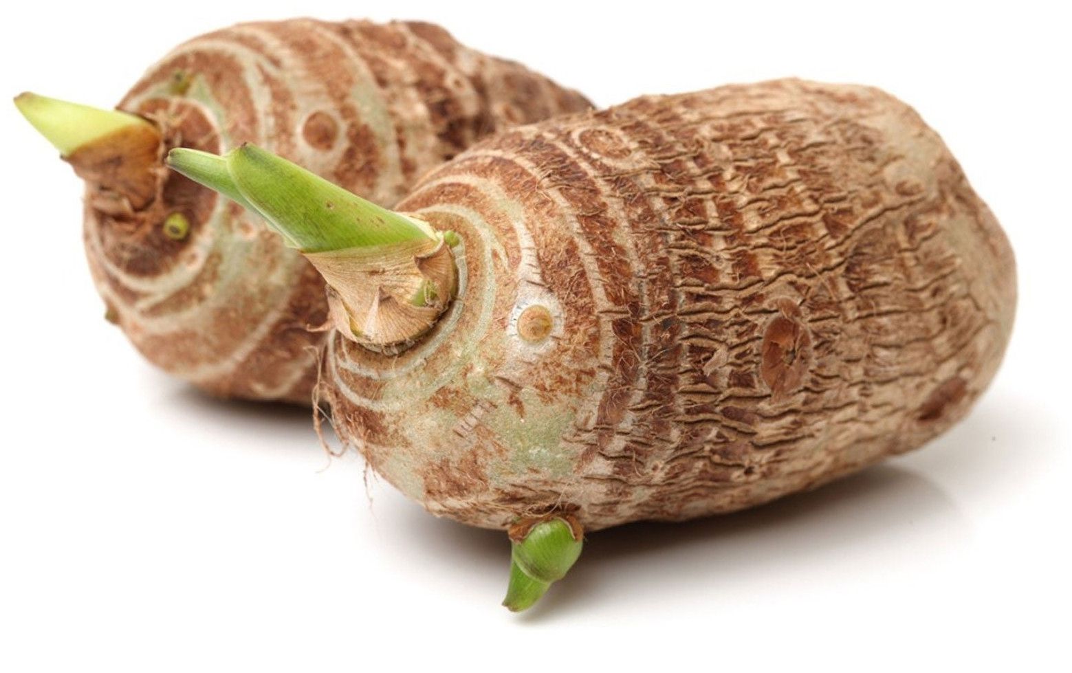 Organic Fresh Chembu Root