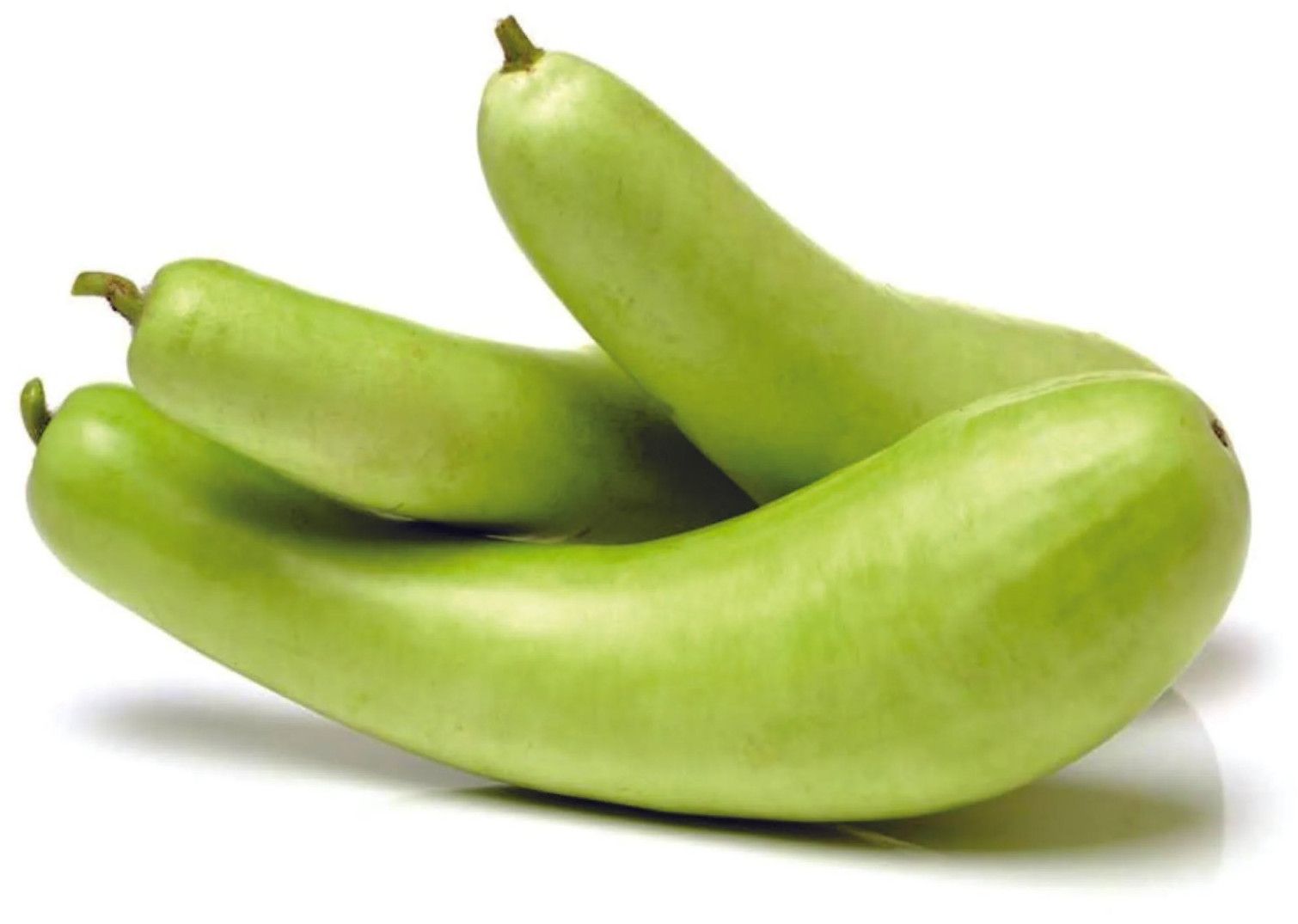 Tender Green Bottle Gourd