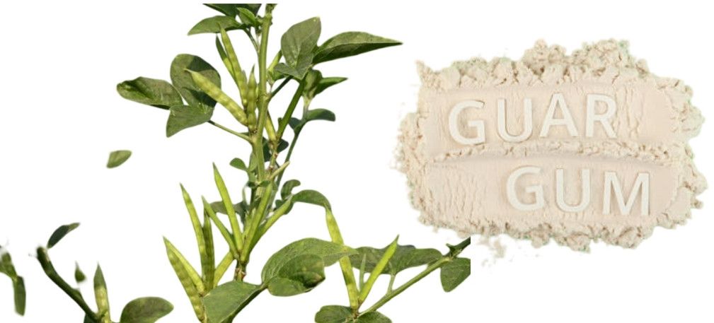 Multi Industry Grade Guar Gum Powder