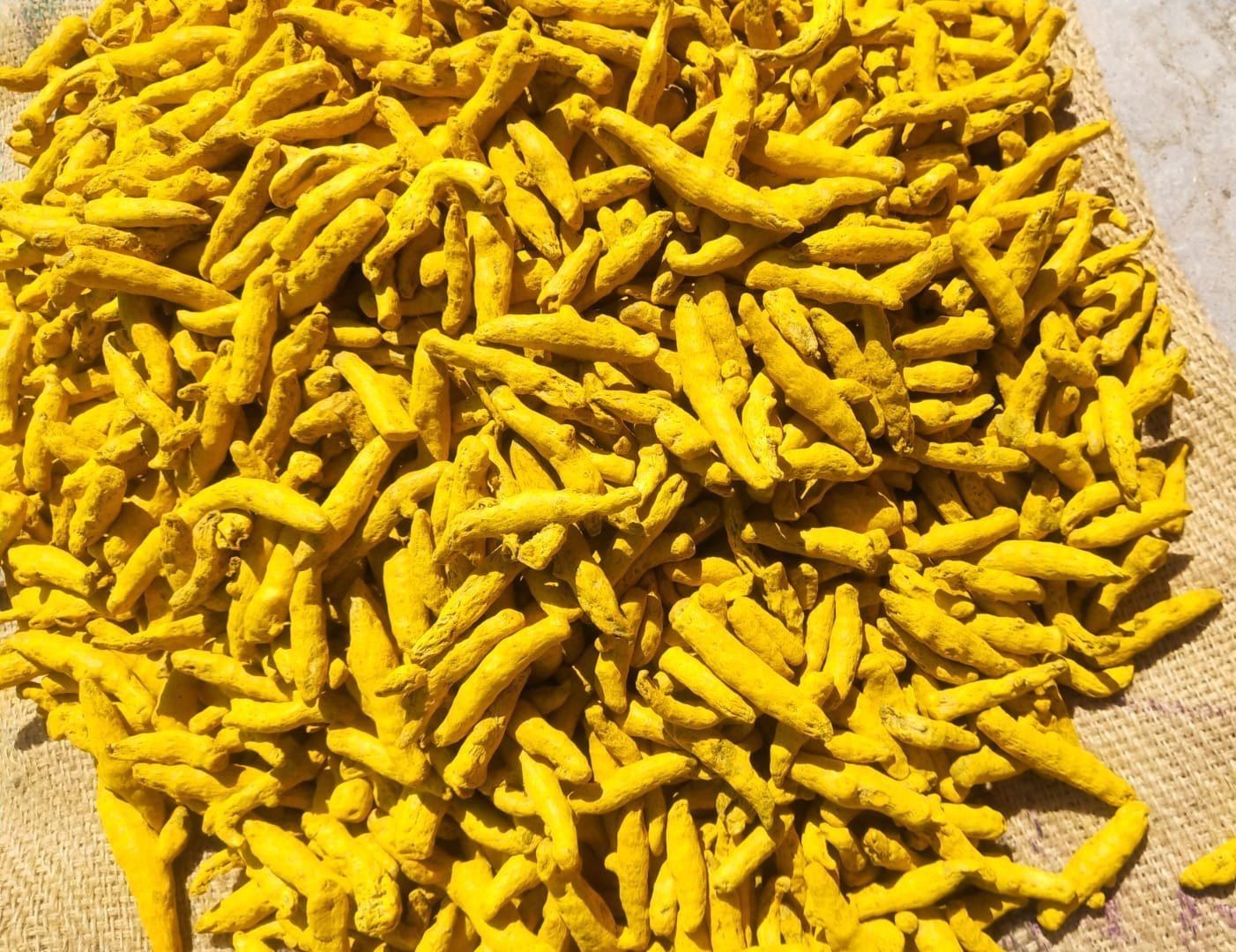 Nizamabad Double Polish Turmeric Finger