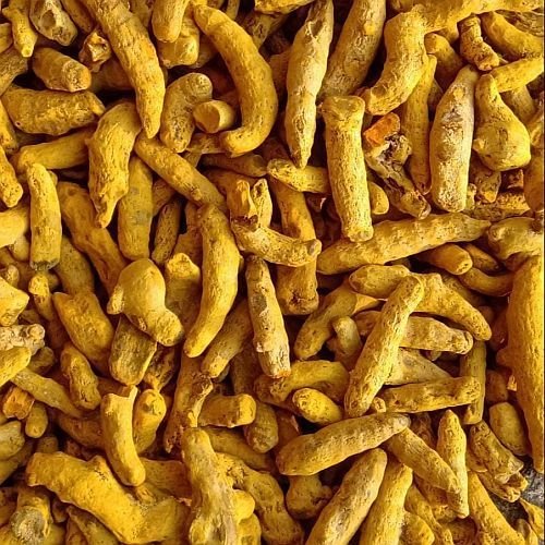 Double Polished Turmeric Finger