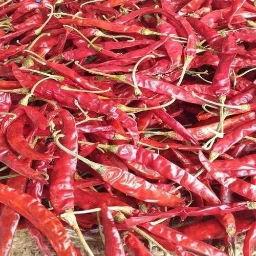 Guntur S10 Dry Red Chilli