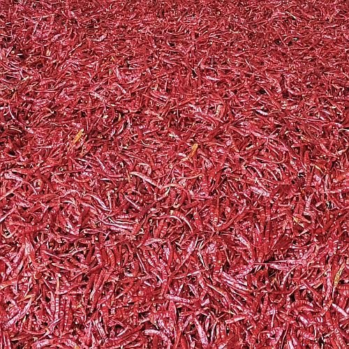 No 5 Guntur Dry Red Chilli