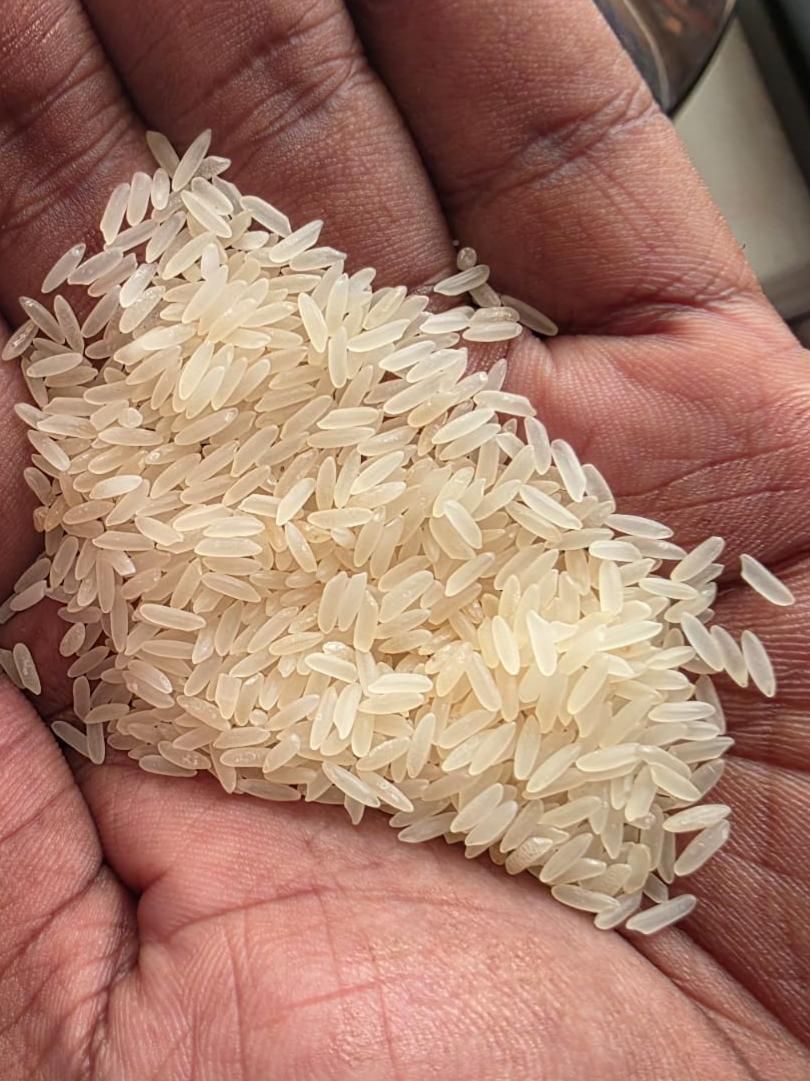 Raw Ponni Rice