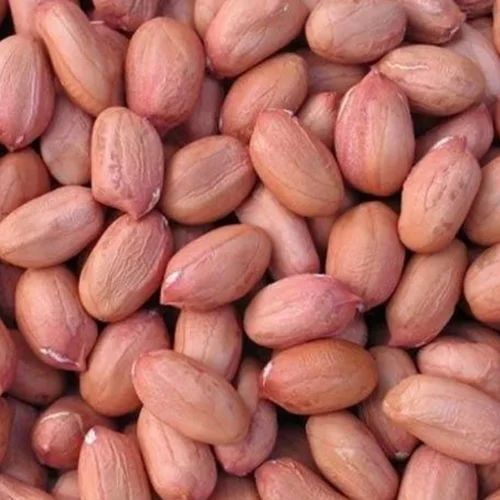 Groundnut Seeds