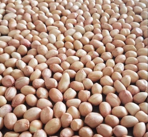 Java Groundnut Seeds