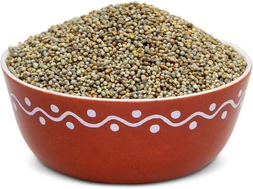 Organic Pearl Millet Seeds