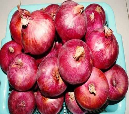 Arka Ujjwal Fresh Red Onion
