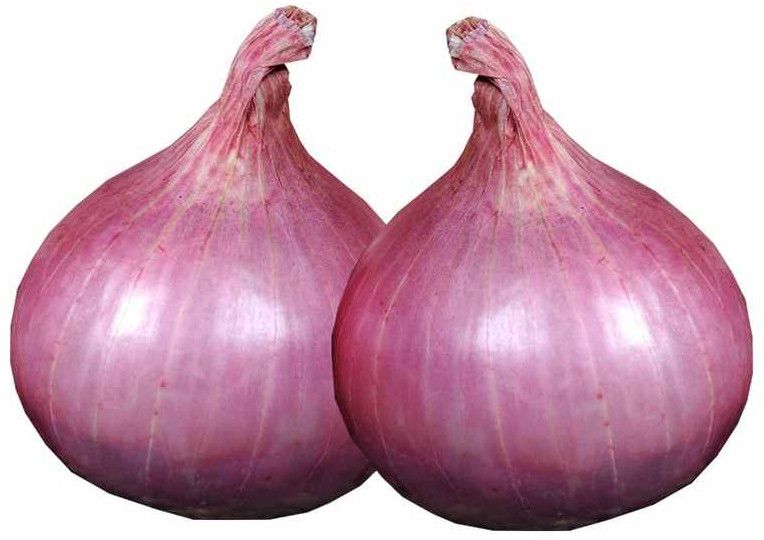 Maharashtra Rabi Red Onions