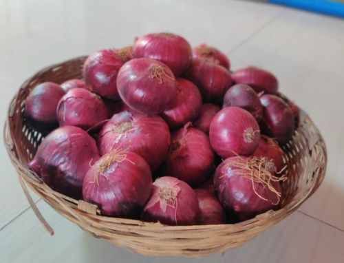 Bhima Shakti Late Kharif Red Onion