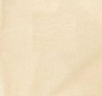 148 GSM Greige Plain Cotton Sulzer Fabric