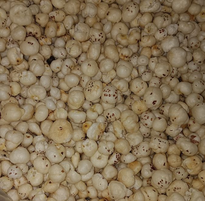 4 Suta Plus Phool Makhana