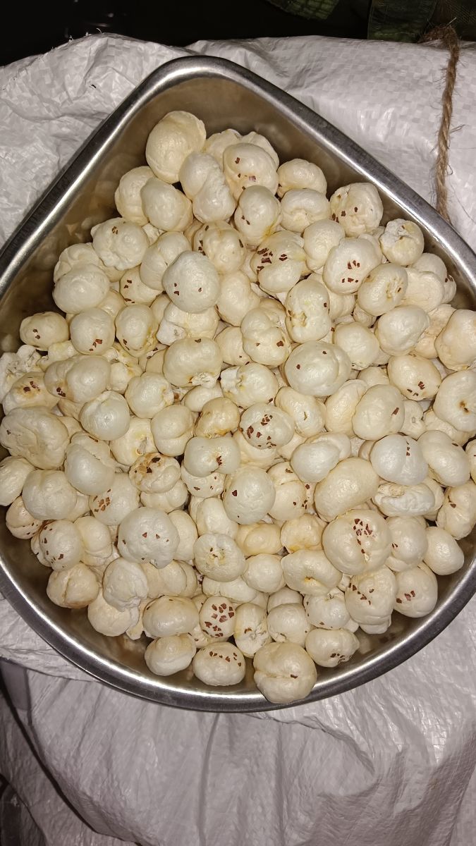 6 Suta Phool Makhana