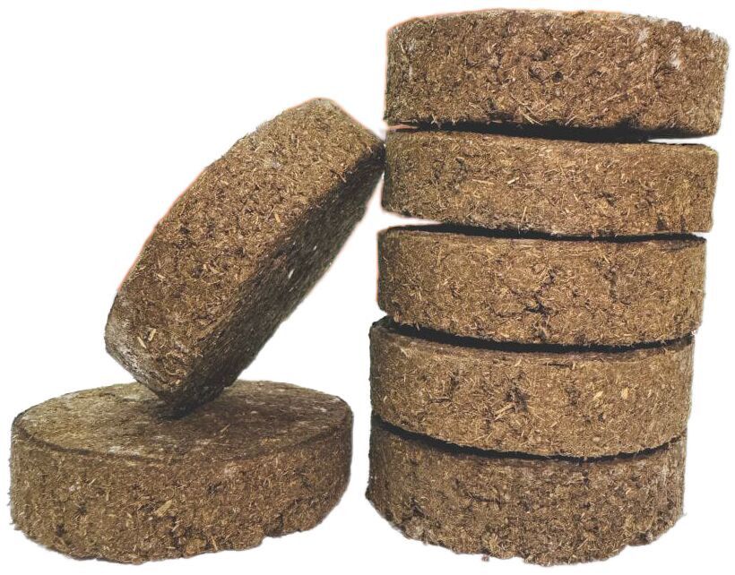 Cow Dung Cakes