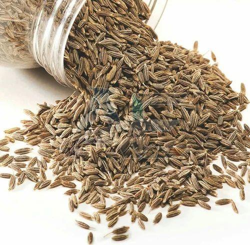Cumin Seeds