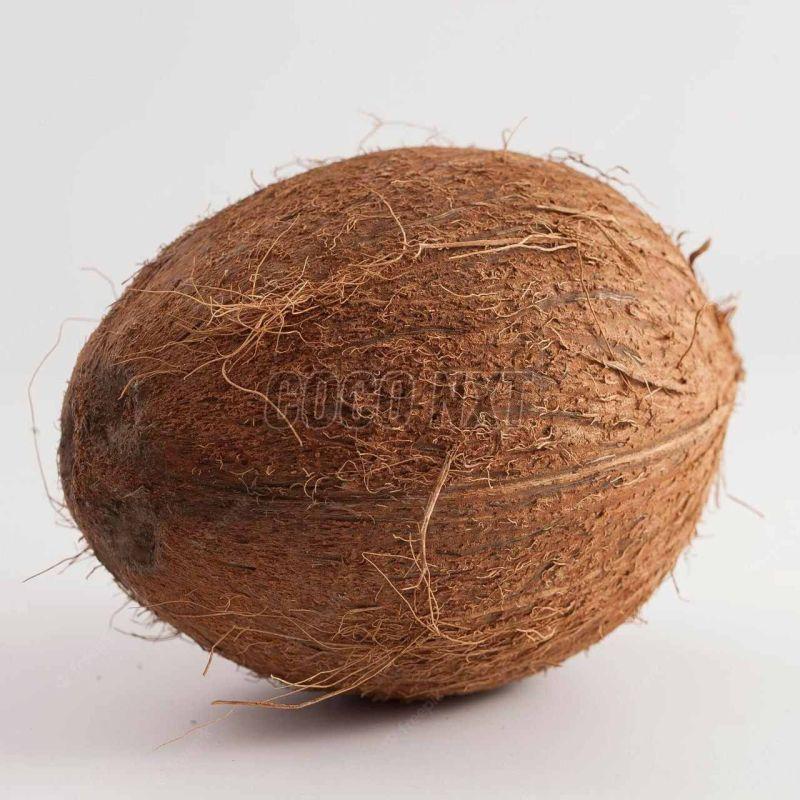 Whole Dehusked Mature Coconut