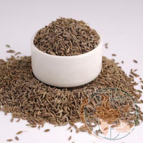 Cumin Seeds