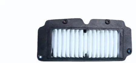 Suzuki Access Old Air Filter