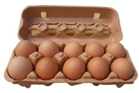 10 Pieces Fresh Brown Eggs