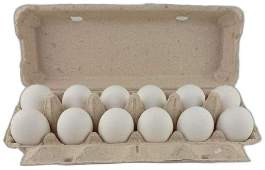 12 Pieces Fresh White Eggs