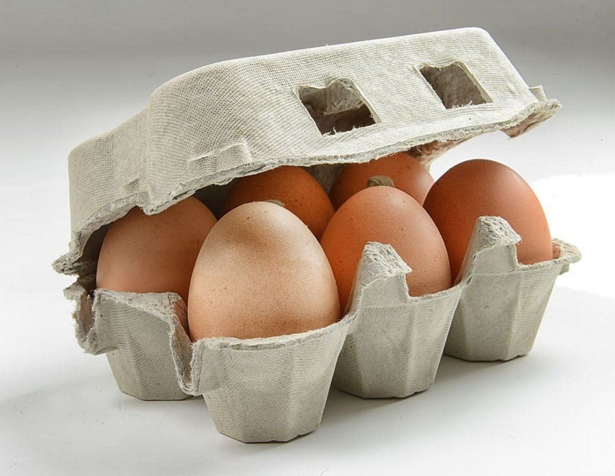 6 Pieces Fresh Brown Eggs