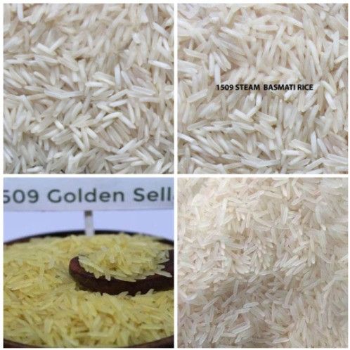 1509 Basmati Rice