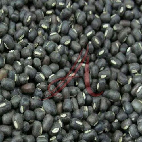Black Gram