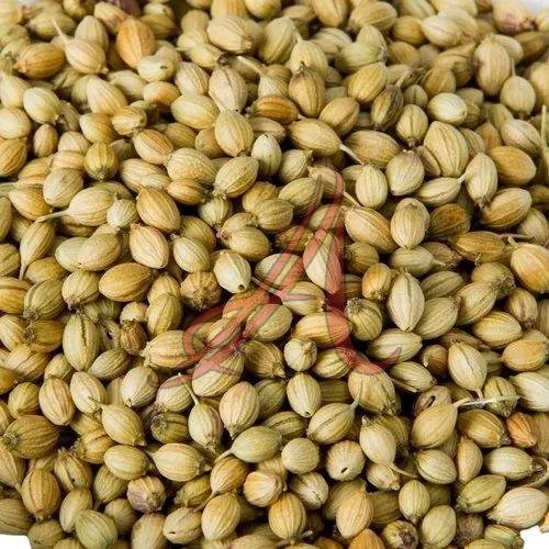 Coriander Seeds