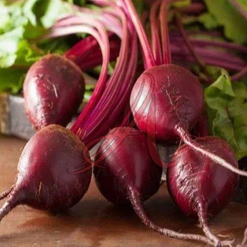 Fresh Beetroot