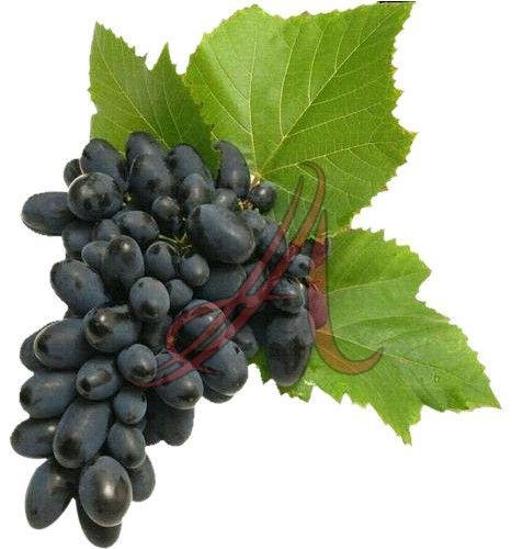 Fresh Black Grapes