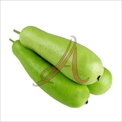 Fresh Gourd