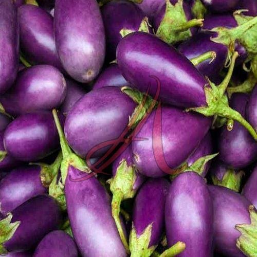 Fresh Eggplant
