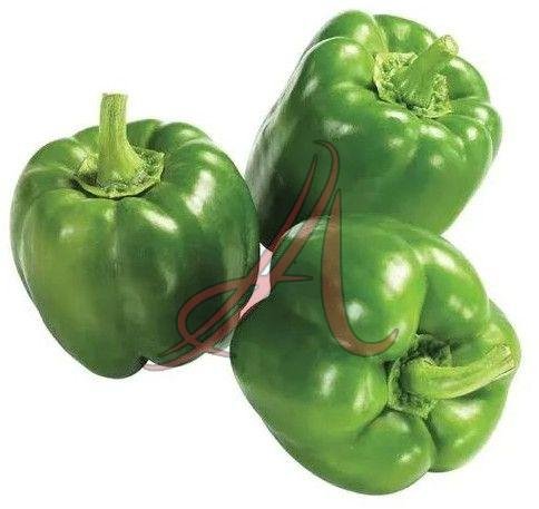 Fresh Capsicum
