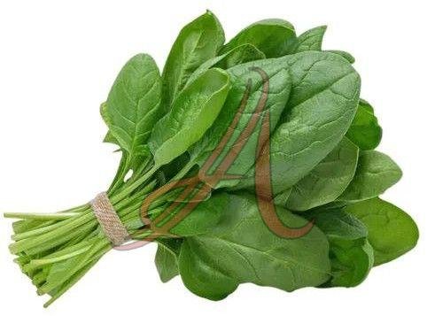 Fresh Green Spinach Leaves