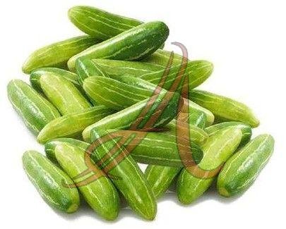 Fresh Ivy Gourd