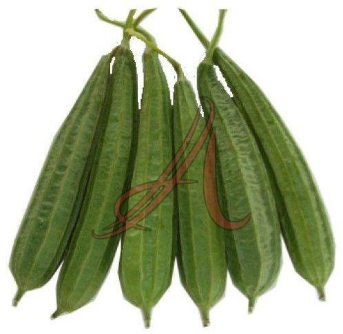 Fresh Luffa Acutangula