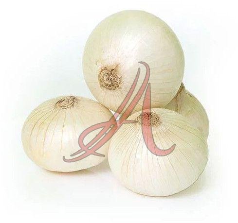 Fresh White Onion