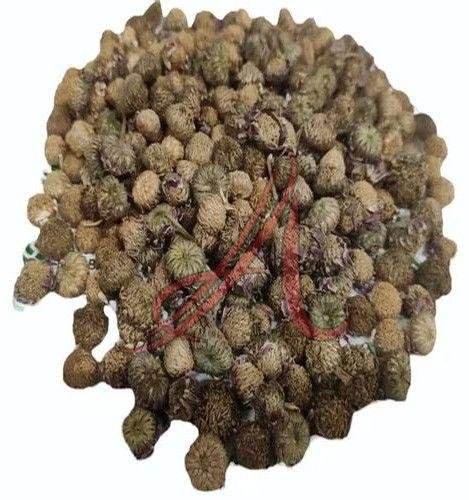 Kulekhara Herbal Seeds