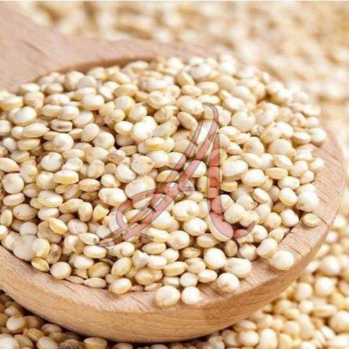 Quinoa Seeds