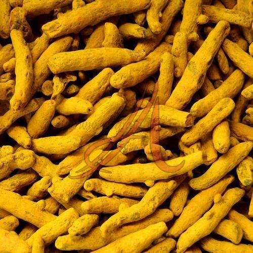 Raw Turmeric Finger