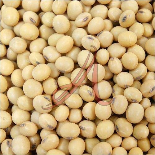 Soybean Seeds