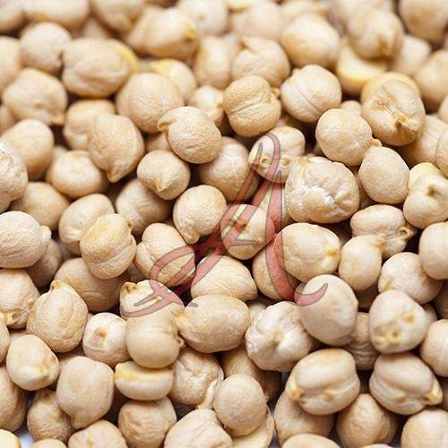 White Chickpeas